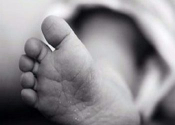 صادم..العثور على جثة رضيع في حاوية أزبال
