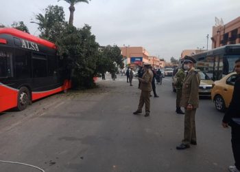 نجاة مواطنين من حادث سقوط شجرة فوق حافلة بمراكش