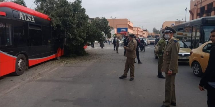 نجاة مواطنين من حادث سقوط شجرة فوق حافلة بمراكش