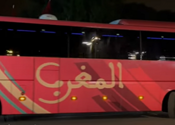 عودة أسود الأطلس إلى أرض الوطن