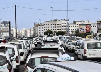 أسعار النقل العمومي والمهني لن تشهد أي تغيير بالمغرب