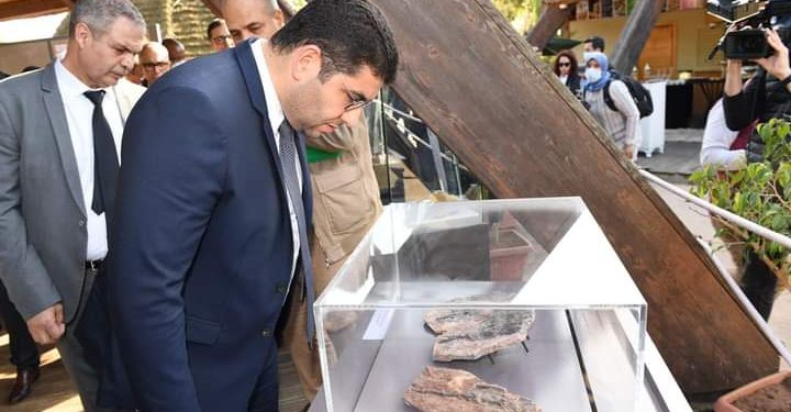 المغرب يستعيد مستحاثات مسروقة بينها جمجمة تمساح مغربي يعود إلى 56 مليون سنة