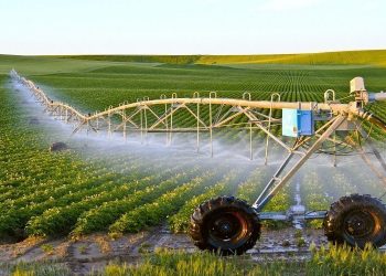 المغرب يقترض 180 مليون دولار لدعم القطاع الفلاحي