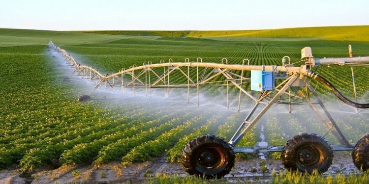 المغرب يقترض 180 مليون دولار لدعم القطاع الفلاحي