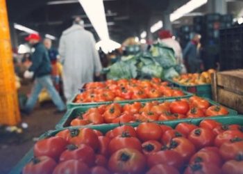 الفيدرالية المغربية لمنتجي ومصدري الخضر والفواكه تعلن وقف تصدير الطماطم