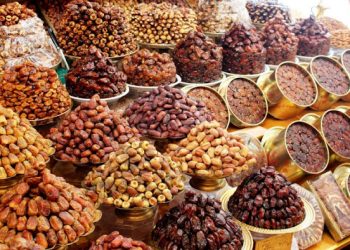 تمر “المجهول” محور إصدار علمي جديد