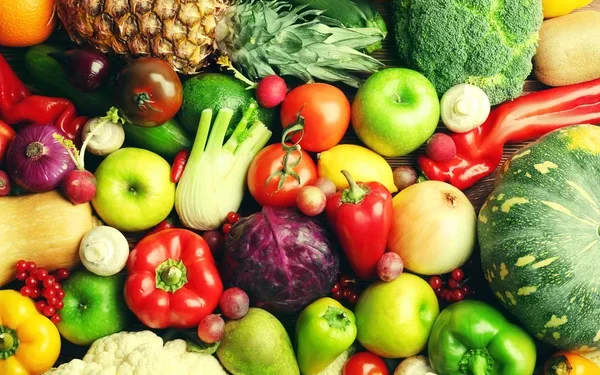 مندوبية التخطيط تعلن ارتفاع أسعار الخبز والزيوت والخضر والفواكه بالمغرب