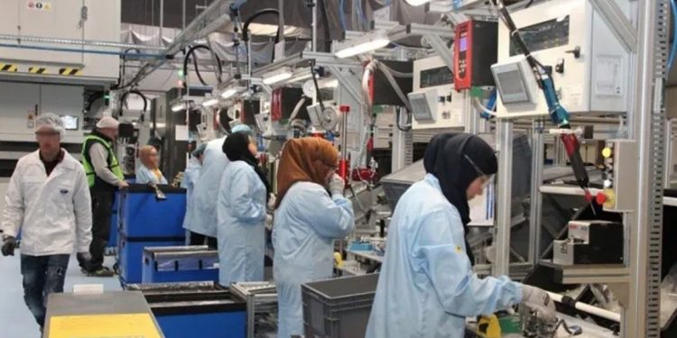 رسميا.. انطلاق برنامج “فرصة” للشباب
