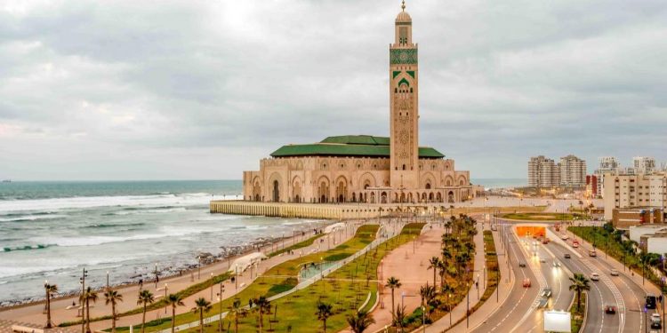 مؤسسة مسجد الحسن الثاني تستعين بطائر الشاهين لمواجهة الحمام