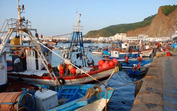 الصيد البحري: ارتفاع قيمة المنتجات المسوقة بنسبة 14 في المائة