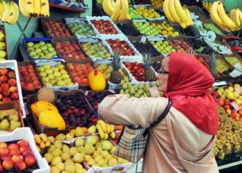 المندوبية السامية للتخطيط ترصد تطورات الأسعار 