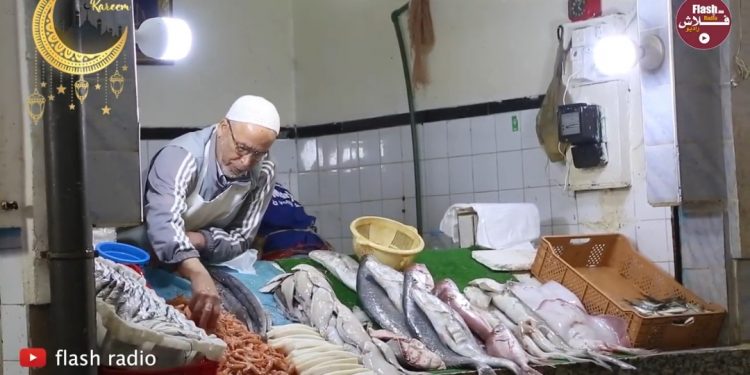 بالفيديو: هذه أسعار الأسماك خلال شهر رمضان وأراء المواطنين