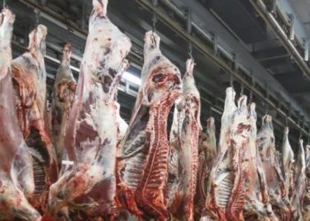 مجازر البيضاء تحصل على شهادتي “إيزو”