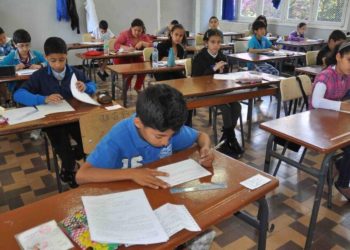 وزارة التربية تنفي الشروع في إلغاء اللغة الفرنسية