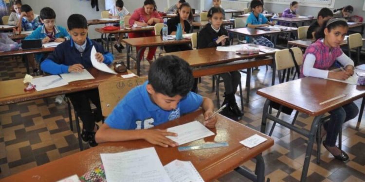 وزارة التربية تنفي الشروع في إلغاء اللغة الفرنسية