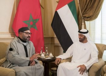 الملك يهنئ الشيخ محمد بن زايد آل نهيان بمناسبة انتخابه رئيسا لدولة الإمارات العربية المتحدة