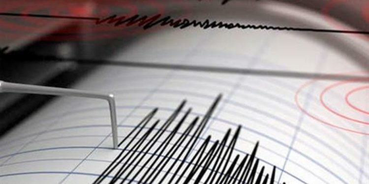 زلزال بقوة 8ر5 درجة يضرب جزيرة هونشو اليابانية