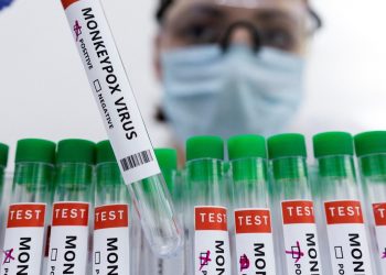 جدري القردة.. تطوير نظام اختبار PCR للكشف عن الإصابة بالفيروس
