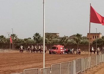 سقوط خيال بمهرجان التبوريدة بمراكش يستنفر السلطات