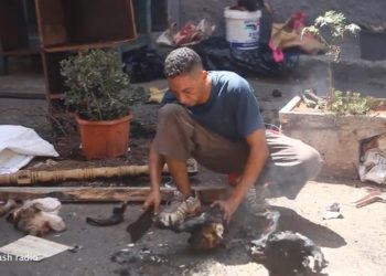 فيديو.. مهنة “شي رؤوس الأضاحي” تستهوي الشباب في عيد الأضحى