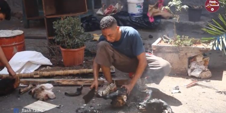 فيديو.. مهنة “شي رؤوس الأضاحي” تستهوي الشباب في عيد الأضحى