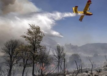 التحكم “بشكل عام” في محيط حريق المنطقة الغابوية بإقليم شفشاون