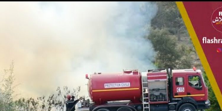 فيديو.. اندلاع حريق في غابة بالمحمدية
