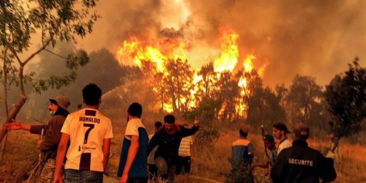 ارتفاع حصيلة حرائق الغابات في الجزائر إلى 26 قتيلًا
