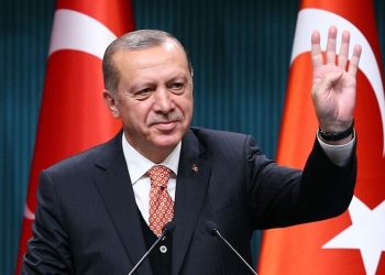 الرئيس التركي: 20 سفينة تنتظر دورها لشحن الحبوب من موانئ أوكرانيا
