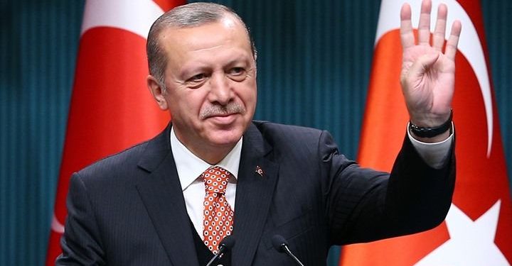 الرئيس التركي: 20 سفينة تنتظر دورها لشحن الحبوب من موانئ أوكرانيا