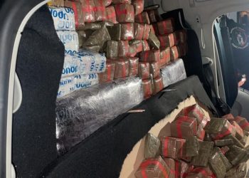 إحباط تهريب 840 كلغ من الحشيش بطنجة