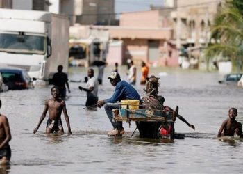 تشاد.. الفيضانات تتسبب في مصرع 22 شخصا