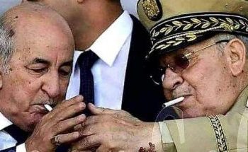 فيديو.. مواطن جزائري يفضح نظام “الكابرانات”