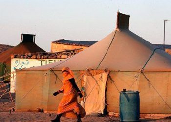 نائبة بالبرلمان الأوروبي تدين انتهاك حقوق الإنسان بالجزائر