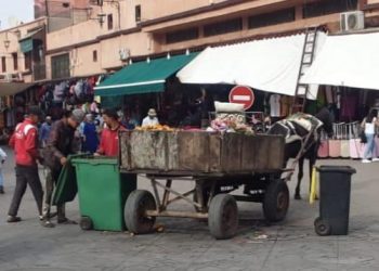 والي الجهة يمنع الميخالة من الجولان بمراكش