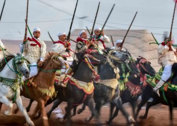المغرب يوقع اتفاقية مع السنغال لتحسين نسل الخيول