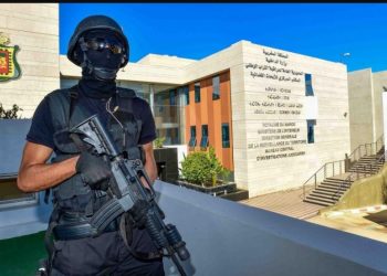 توقيف 5 موالين لتنظيم داعش بمناطق متفرقة بالمملكة