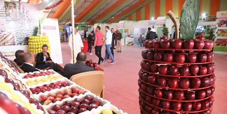 انطلاق فعاليات الملتقى الوطني للتفاح بميدلت 