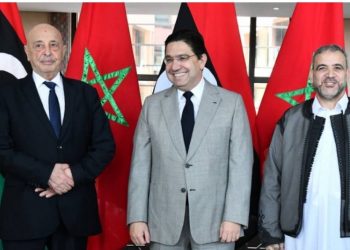 تقدير عربي بالغ للبعد الإنساني الذي يطبع تعاون المغرب مع الدول العربية