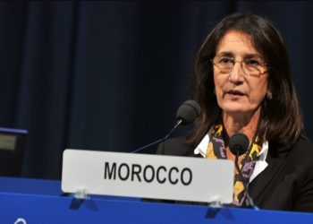 بنخضرة: مشروع أنبوب الغاز المغربي-النيجيري تجسيد لرؤية تنموية