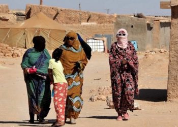 خبير فرنسي يوضح أسباب اختلاق الجزائر لنزاع الصحراء