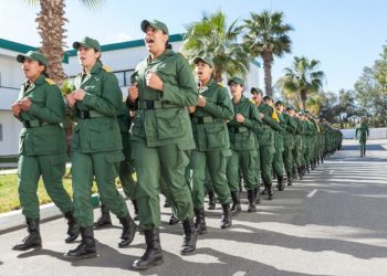 الخدمة العسكرية.. إضافة تخصصات مطلوبة في سوق الشغل