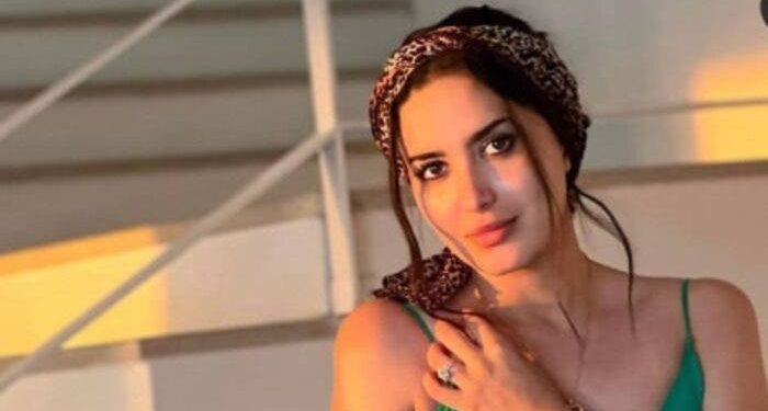 جيهان كيداري تعلن انسحابها من مسلسل “سلمان أبو البنات”