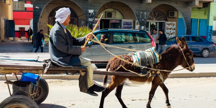 جماعة الدار البيضاء تحسم في قرار منع تجول العربات المجرورة بشوارع المدينة