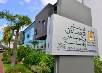 المجلس الاقتصادي والاجتماعي والبيئي يدعو إلى تحسين مستوى الخدمات الإدارية والنهوض بالعمل الثقافي خدمة لمغاربة العالم