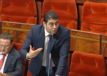 “بنسعيد” يبشر الفنانين بشأن صيغة الحصول على البطاقة المهنية