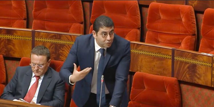 “بنسعيد” يبشر الفنانين بشأن صيغة الحصول على البطاقة المهنية