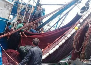 إنتاج السمك..سحب الإعتماد الصحي من ثلات مصانع