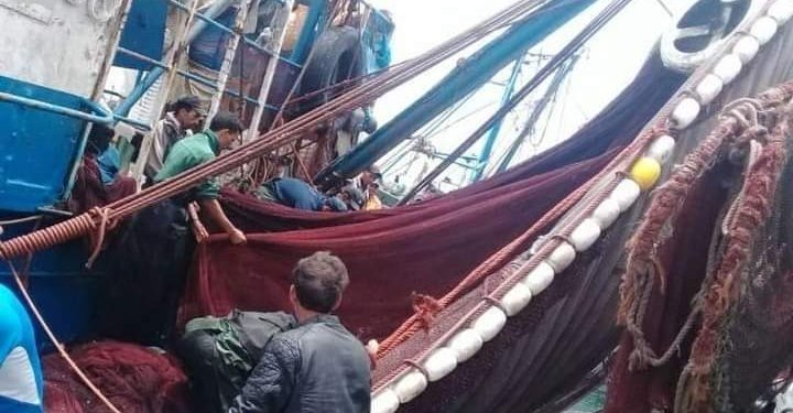 إنتاج السمك..سحب الإعتماد الصحي من ثلات مصانع