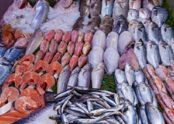 المغاربة كيتسناو فالأسعار تنزل زادو في الحوت